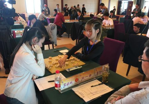 积分循环赛适合人数众多的象棋比赛吗(积分循环赛怎么排的)