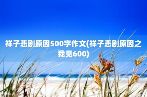 祥子悲剧原因500字作文(祥子悲剧原因之我见600)