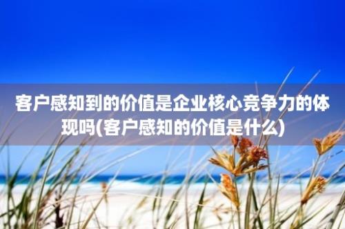 客户感知到的价值是企业核心竞争力的体现吗(客户感知的价值是什么)