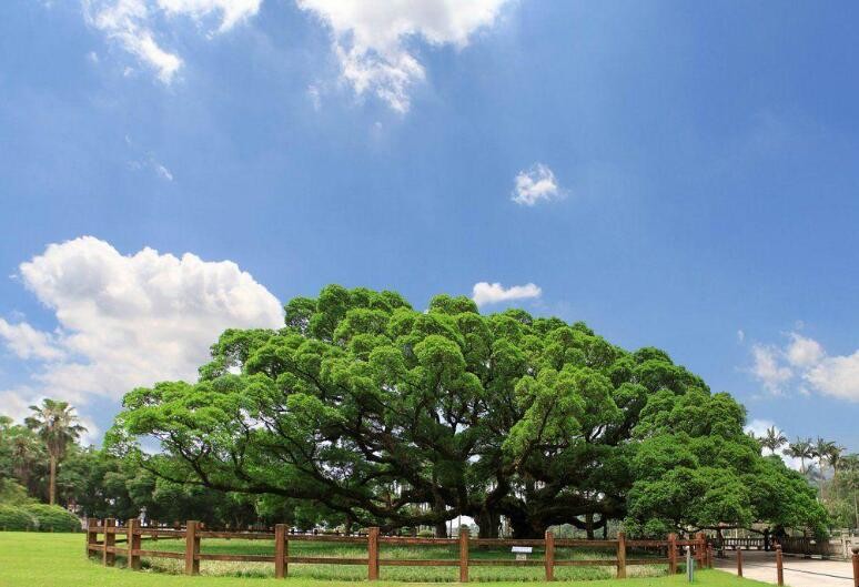 福州旅游攻略是什么