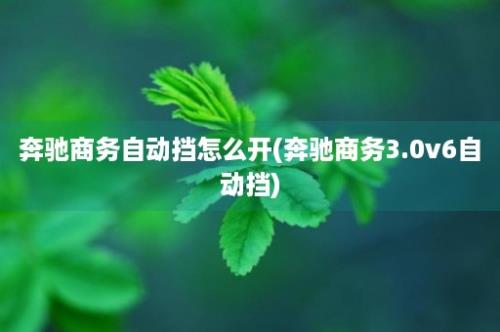 奔驰商务自动挡怎么开(奔驰商务3.0v6自动挡)