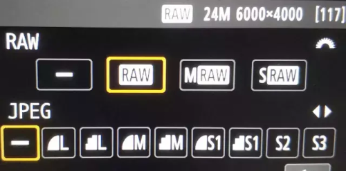 jpg和raw,如何选择合适的照片格式(图片格式jpg和raw)