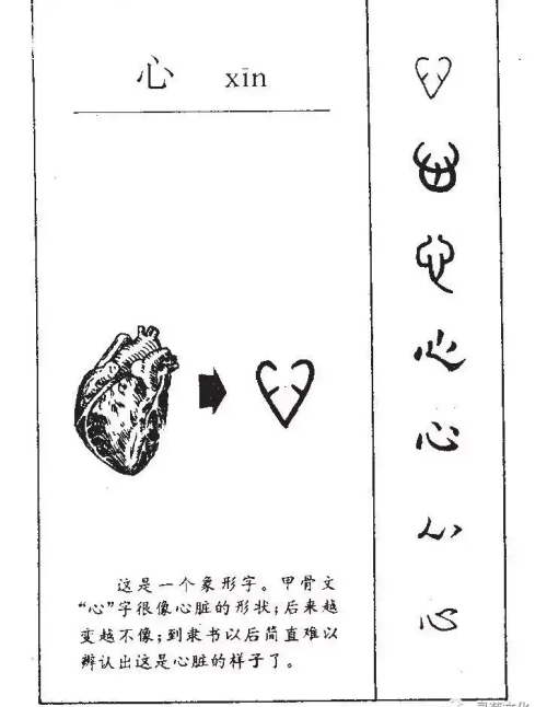 心字百科(汉字讲解心字)