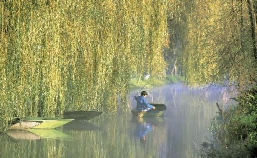 竹枝词 刘禹锡 踏歌声 唱歌声(竹枝词二首其一是踏歌声还是唱歌声)