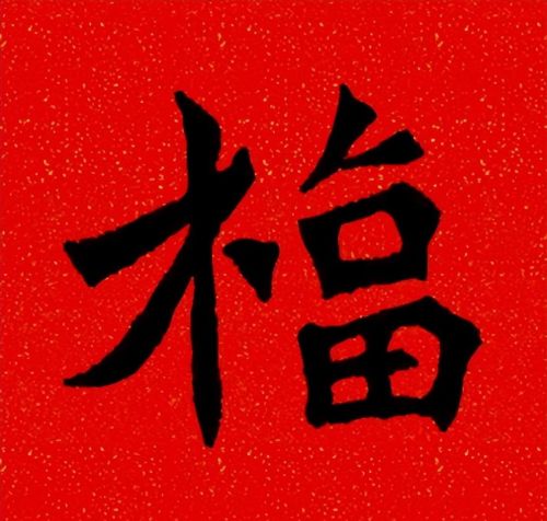 福字魏碑书法欣赏(福字 魏碑)