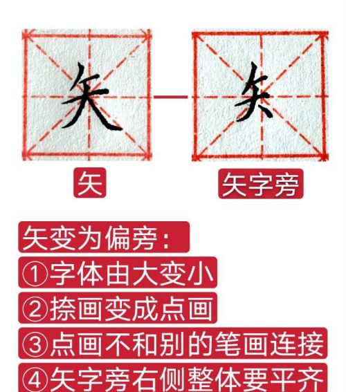 知字的正确书写(知字的笔顺正确的写法)