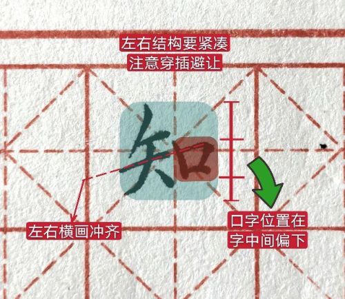 知字的正确书写(知字的笔顺正确的写法)