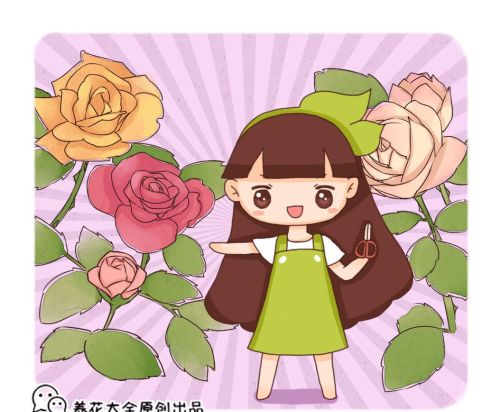 杜鹃花冬季的修剪方法和保养(杜鹃花冬季如何修剪)