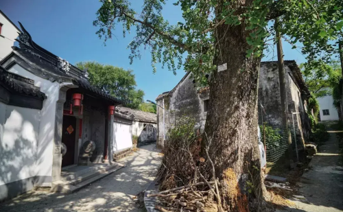 苏州西山岛旅游攻略一天(苏州西山岛旅游)