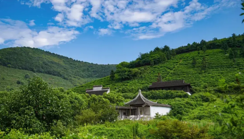 苏州西山岛旅游攻略一天(苏州西山岛旅游)