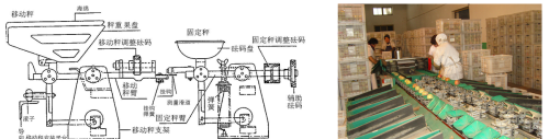 水果重量分选机(果蔬分选机械的原理)