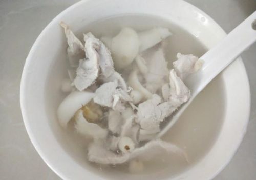 川贝百合炖瘦肉汤做法(川贝百合炖瘦肉的功效和作用)