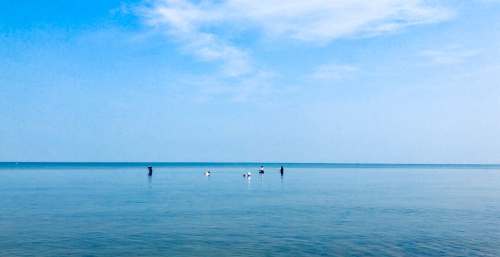 大连夏家河子几点退潮几点涨潮今天(大连夏家河子几点退潮)