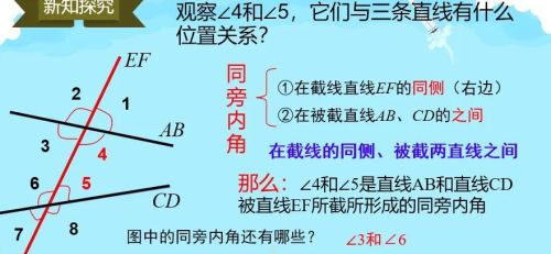 初中几何平行线模型大全(初中数学 平行线)