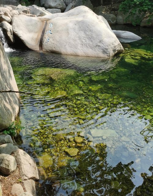 青岛崂山北九水一日游作文(青岛崂山北九水一日游多少钱)