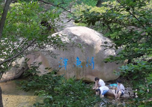 青岛崂山北九水一日游作文(青岛崂山北九水一日游多少钱)