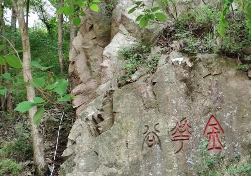 青岛崂山北九水一日游作文(青岛崂山北九水一日游多少钱)