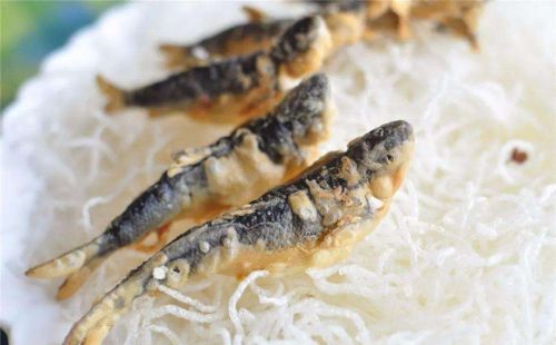 中国珍贵鱼类(中国名贵鱼类)