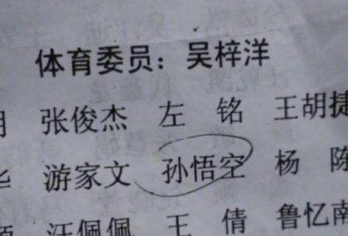 让人一看就笑的名字(让人一听就想笑的名字)