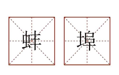 蚌埠怎么读bangbu(蚌埠怎么读 拼音)