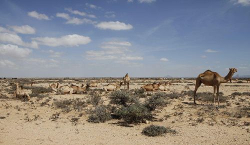 索马里气候干旱的原因(索马里气候形成原因)