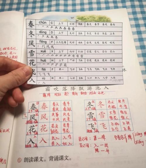 一年级字笔顺笔画顺序(一年级语文下册笔顺规则)