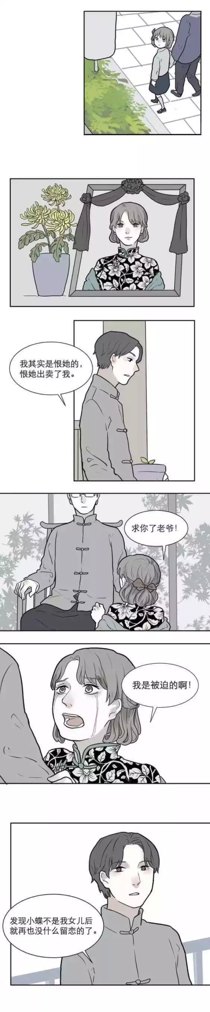 红杏style(红杏是啥电视)