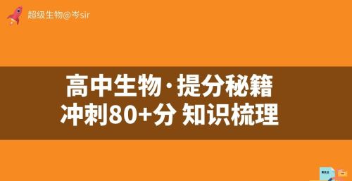 遗传信息的转录的过程(遗传信息转录的模板是什么)