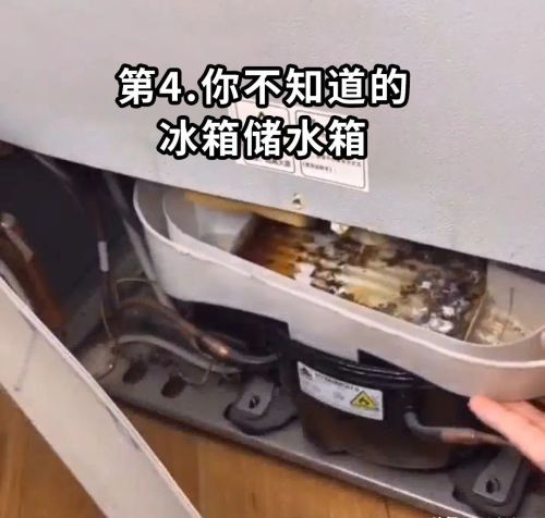 你的冰箱总是结冰异味？看完还你一个整洁如新的冰箱