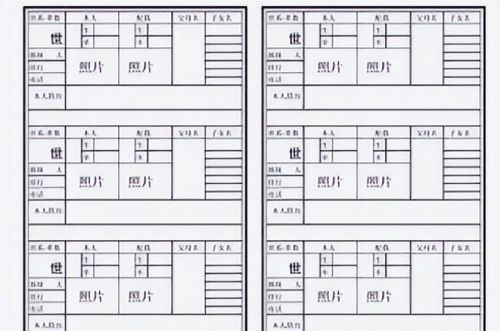 正确的家谱制作流程,总结有以下八点内容(家谱制作教程)