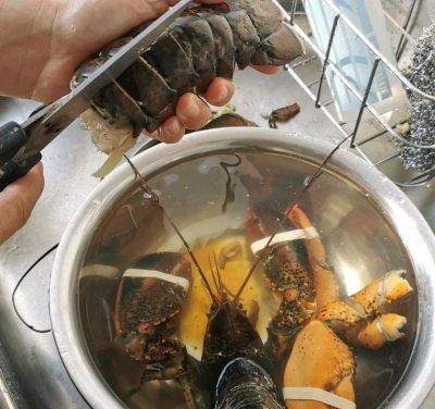清蒸 龙虾(清蒸龙虾的吃法)