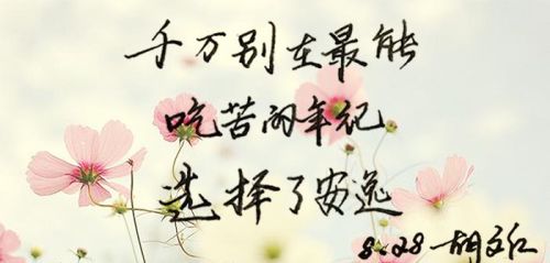 年少不负韶华 下一句(不负年少的手抄报)