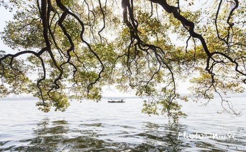 杭州西湖游玩指南(杭州西湖旅游攻略必去景点)