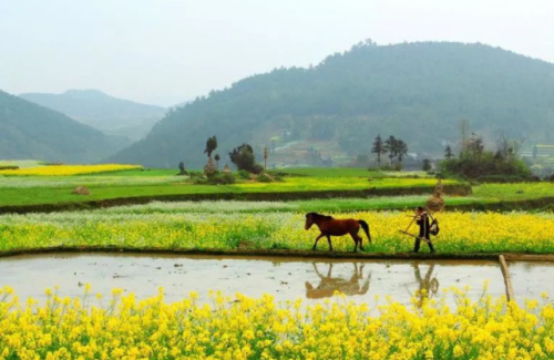 《桃花源记》：五十岁之后，看淡一切，活着就不累了