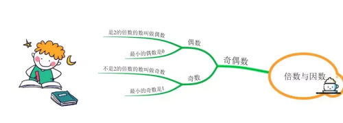 数学思维导图,因数与倍数(思维导图因数与倍数简单又漂亮)