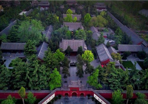 白马寺:中国历史最悠久的寺庙是(白马寺:中国历史最悠久的寺庙是什么)