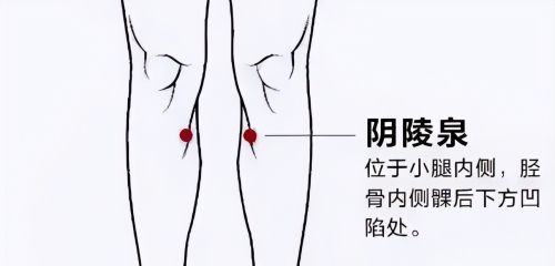 每周吃一次,老了腿脚好,补关节、强筋骨,90岁都“健步如飞”!