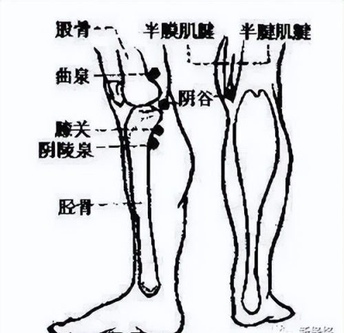 拍打“神奇七点”，能让你的身心“脱胎换骨”