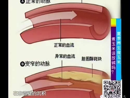 入伏，这碱性食物千万别错过！一块钱一个！富含硒镁抗衰老，建议天天吃