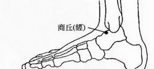 长寿的密码，就在你手上