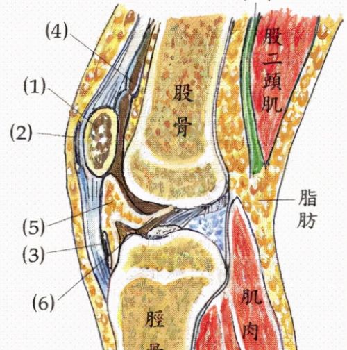 秋冬之交，膝盖疼痛大增，只需一个动作，膝盖不再痛