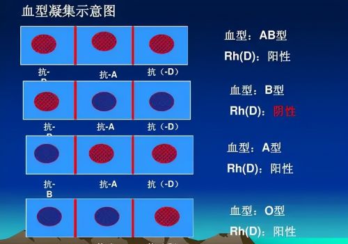 四大血型排行榜：B型血平均年龄77岁，第1名令人意外