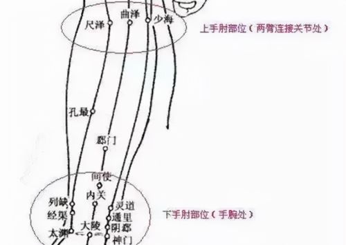 拍打身体20下，咳嗽第二天就好了！几十万人都在做