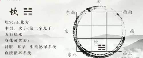 九宫八卦图解释(九宫八卦图解双色球)