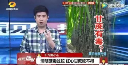 清明前后别喝它，毒过蛇、会致命！