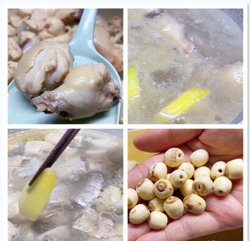 没有食欲煲什么汤好(没有食欲喝什么汤)