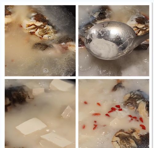 没有食欲煲什么汤好(没有食欲喝什么汤)