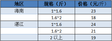 石斑鱼养殖多久才能上市(石斑鱼成活率)