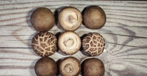 花菇冬菇香菇的区别(花菇与冬菇的区别 花菇和香菇哪个好)