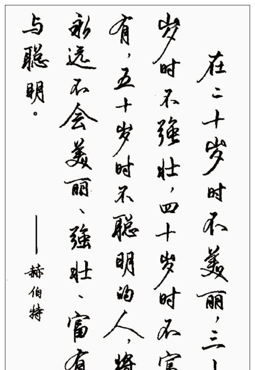 硬笔行书钢笔字书法作品欣赏(硬笔行书书法字帖大全钢笔画)